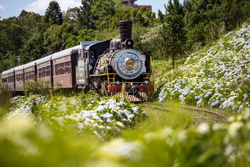 maria-fumaca-bento-goncalves